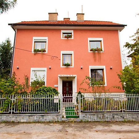 Guest House Pikapolonca Maribor Buitenkant foto